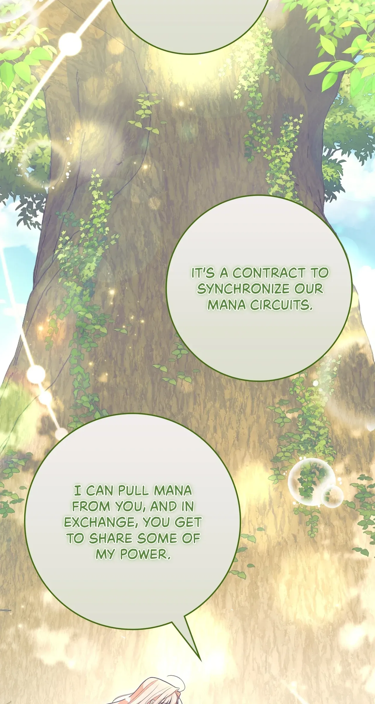 The Beloved Gardener of the World Tree Chapter 39 page 45 - 