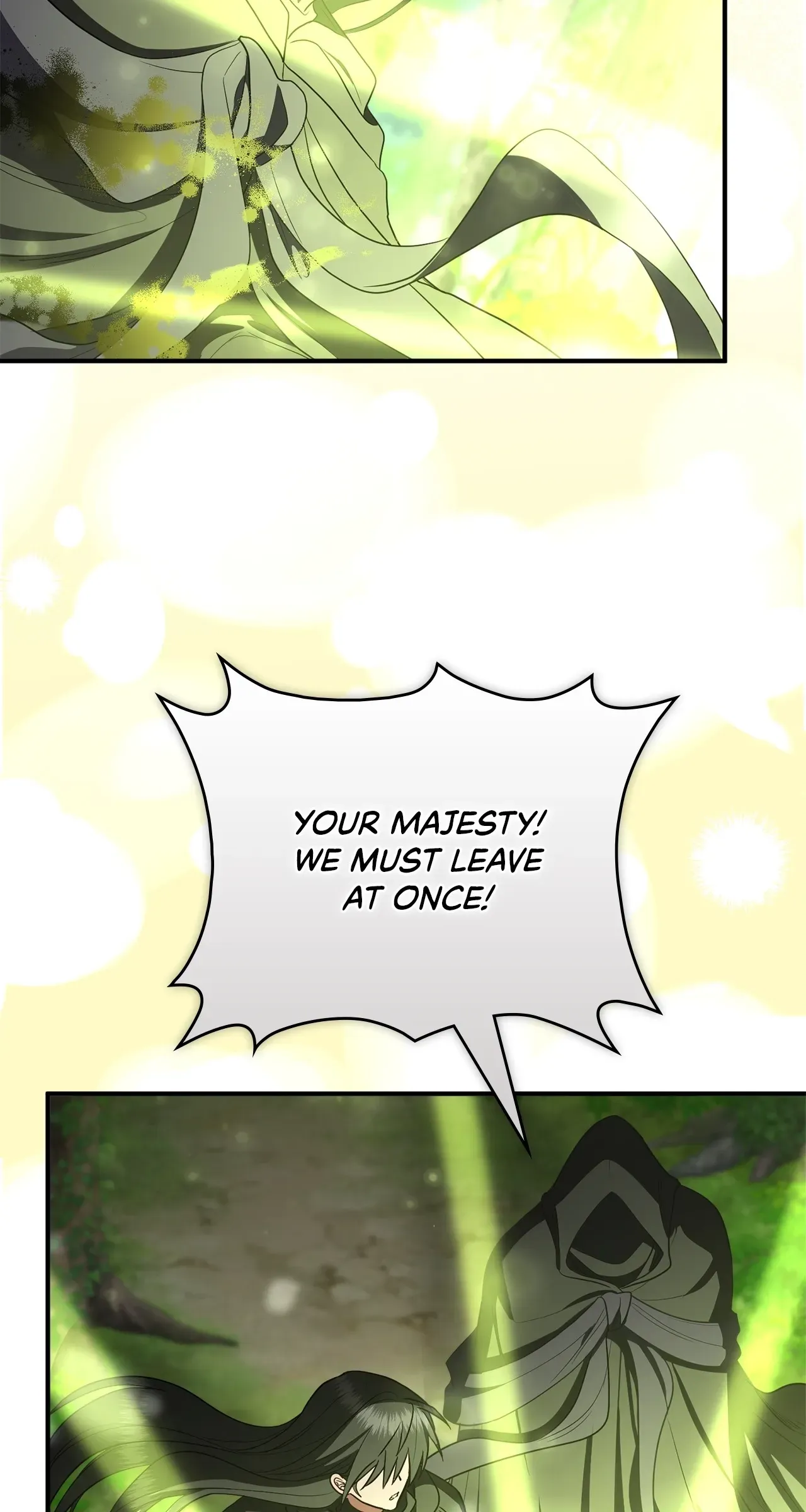 The Beloved Gardener of the World Tree Chapter 39 page 65 - 