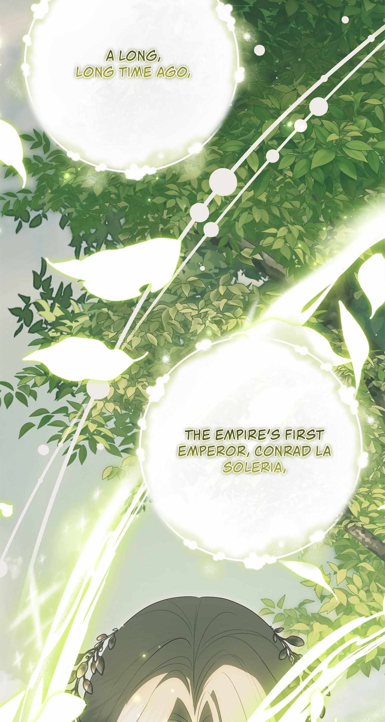 The Beloved Gardener of the World Tree Chapter 40 page 27 - 