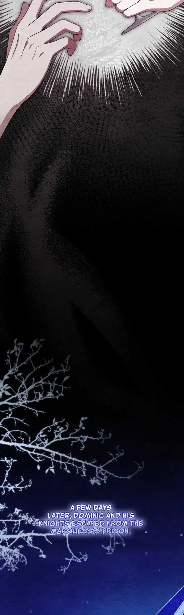 The Beloved Gardener of the World Tree Chapter 43 page 13 - 