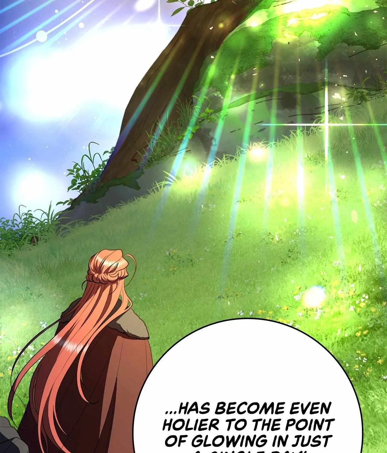 The Beloved Gardener of the World Tree Chapter 5 page 29 - 