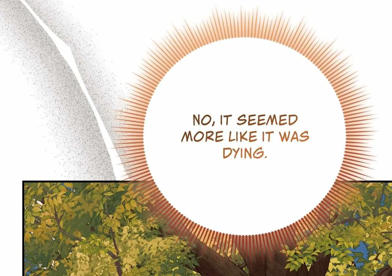The Beloved Gardener of the World Tree Chapter 5 page 38 - 