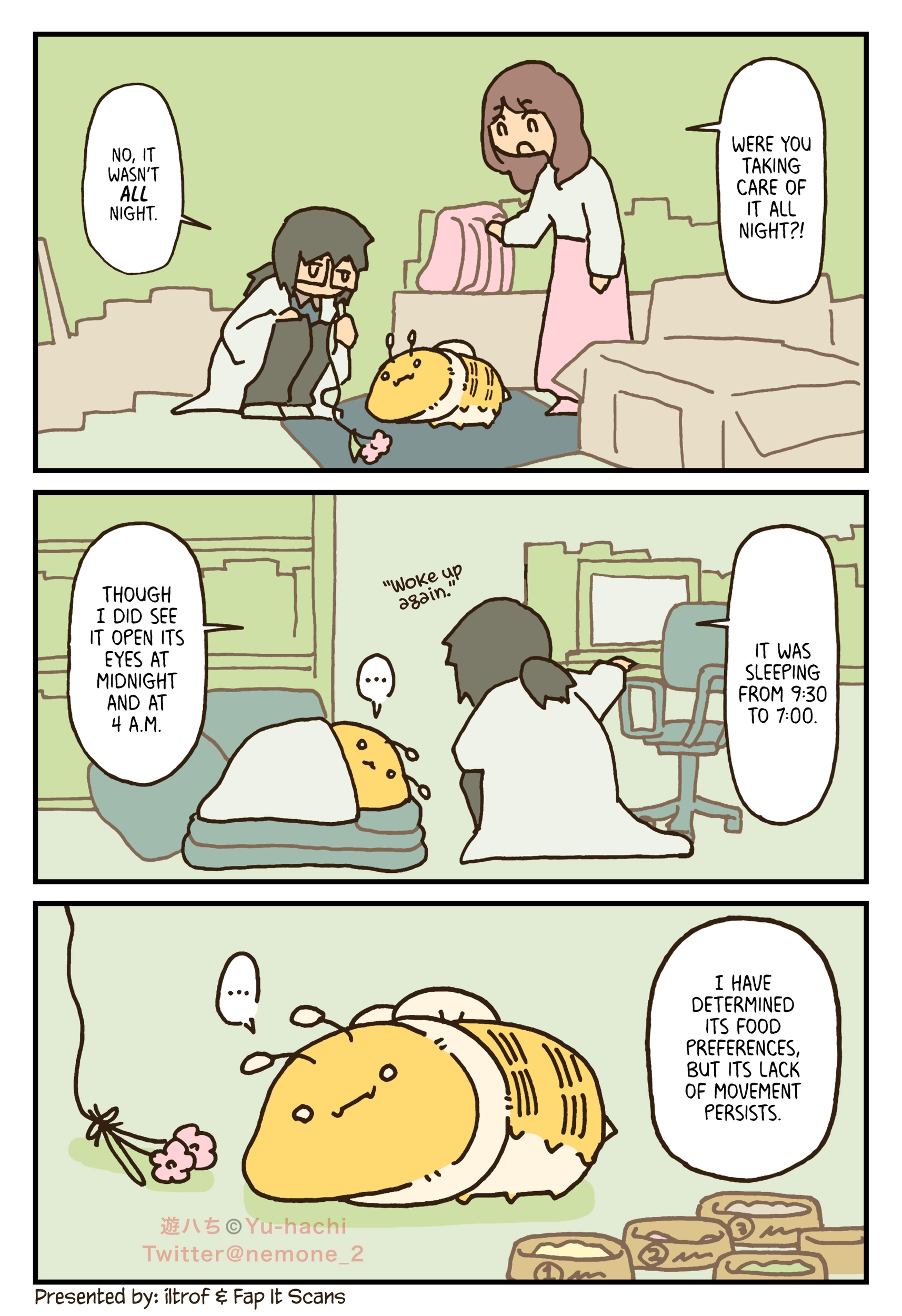 Read The Big Bees chapter 107 image 1 on Lezhin