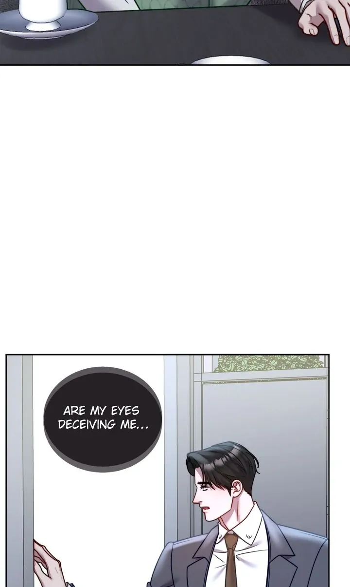 The Billionaire’s Replacement Wife Chapter 51 page 27 - 