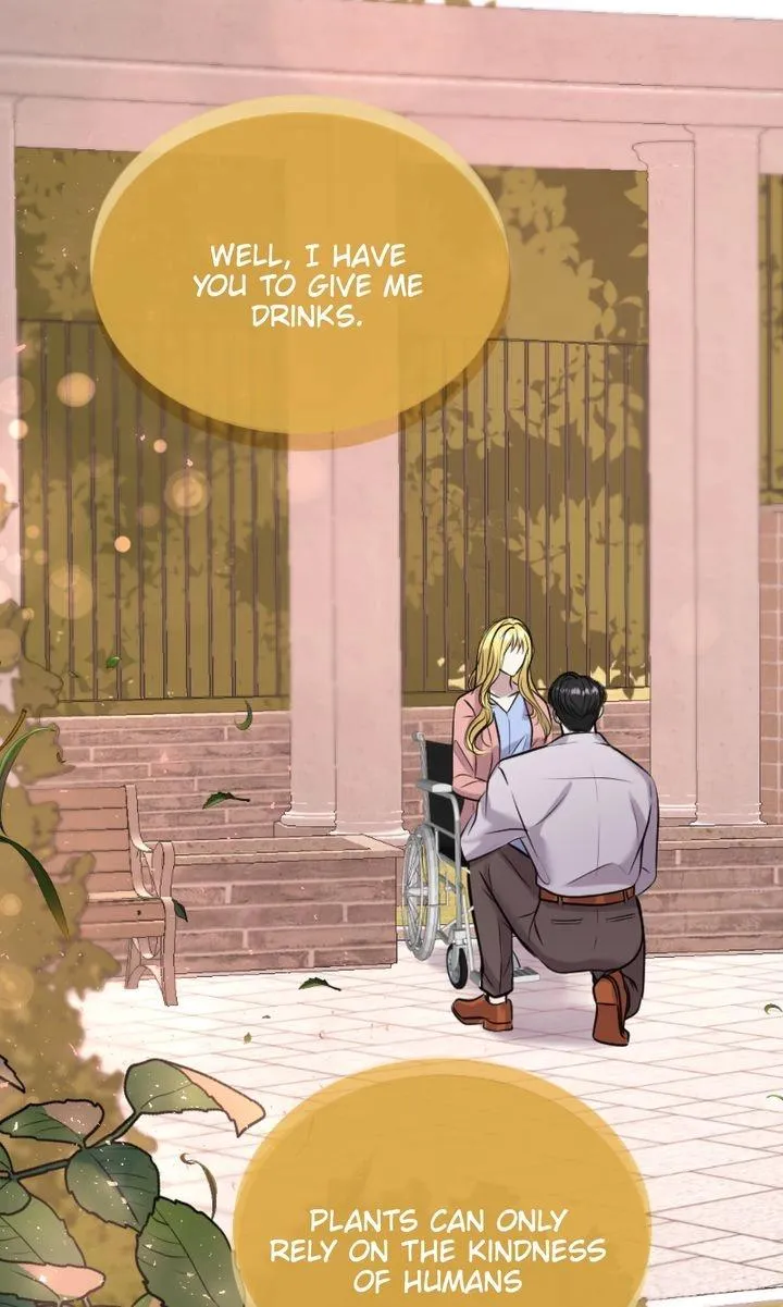 The Billionaire’s Replacement Wife Chapter 71.99 page 16 - 