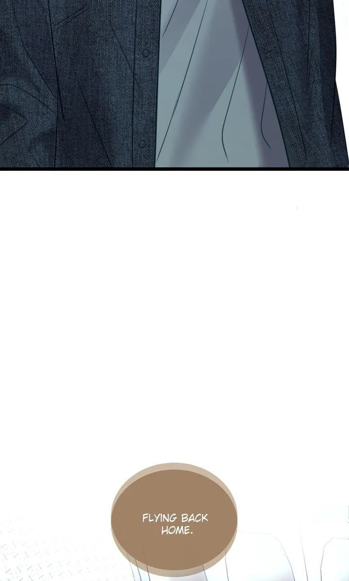 The Billionaire’s Replacement Wife Chapter 82 page 48 - 