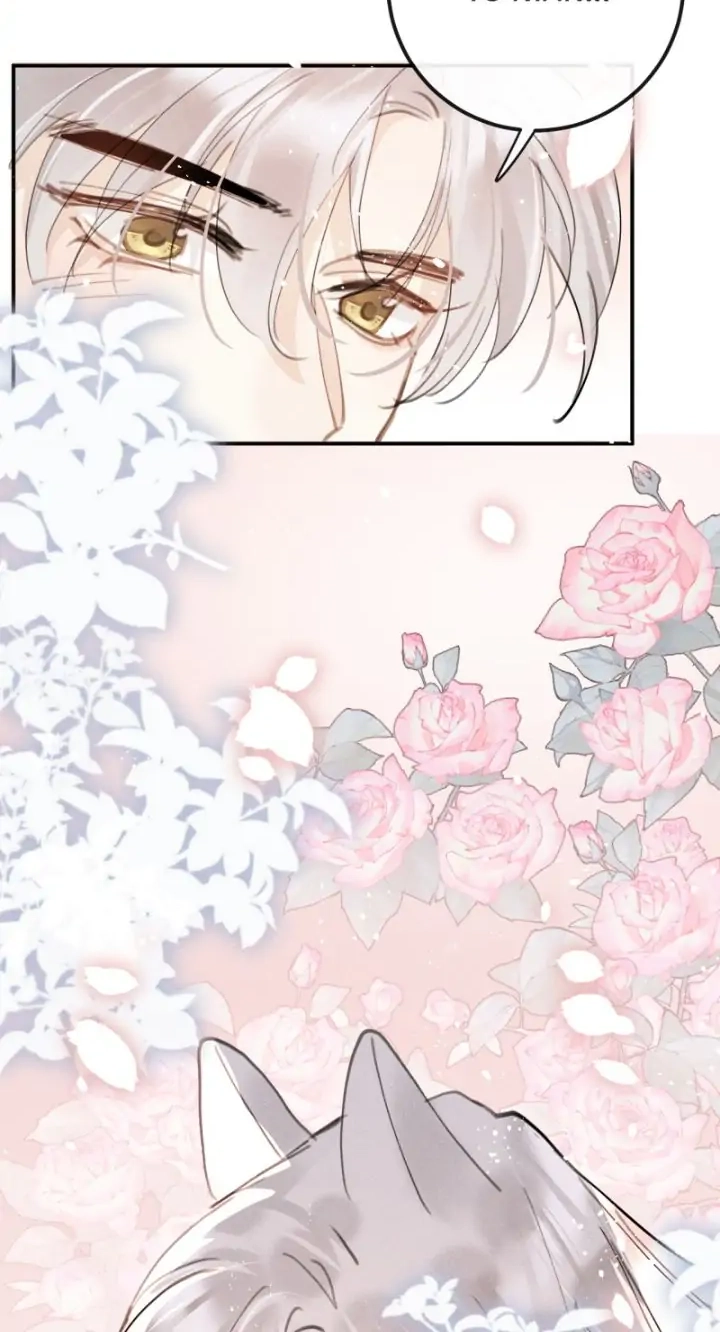 Read The Bite of a Wolf chapter 82 image 56 on Lezhin