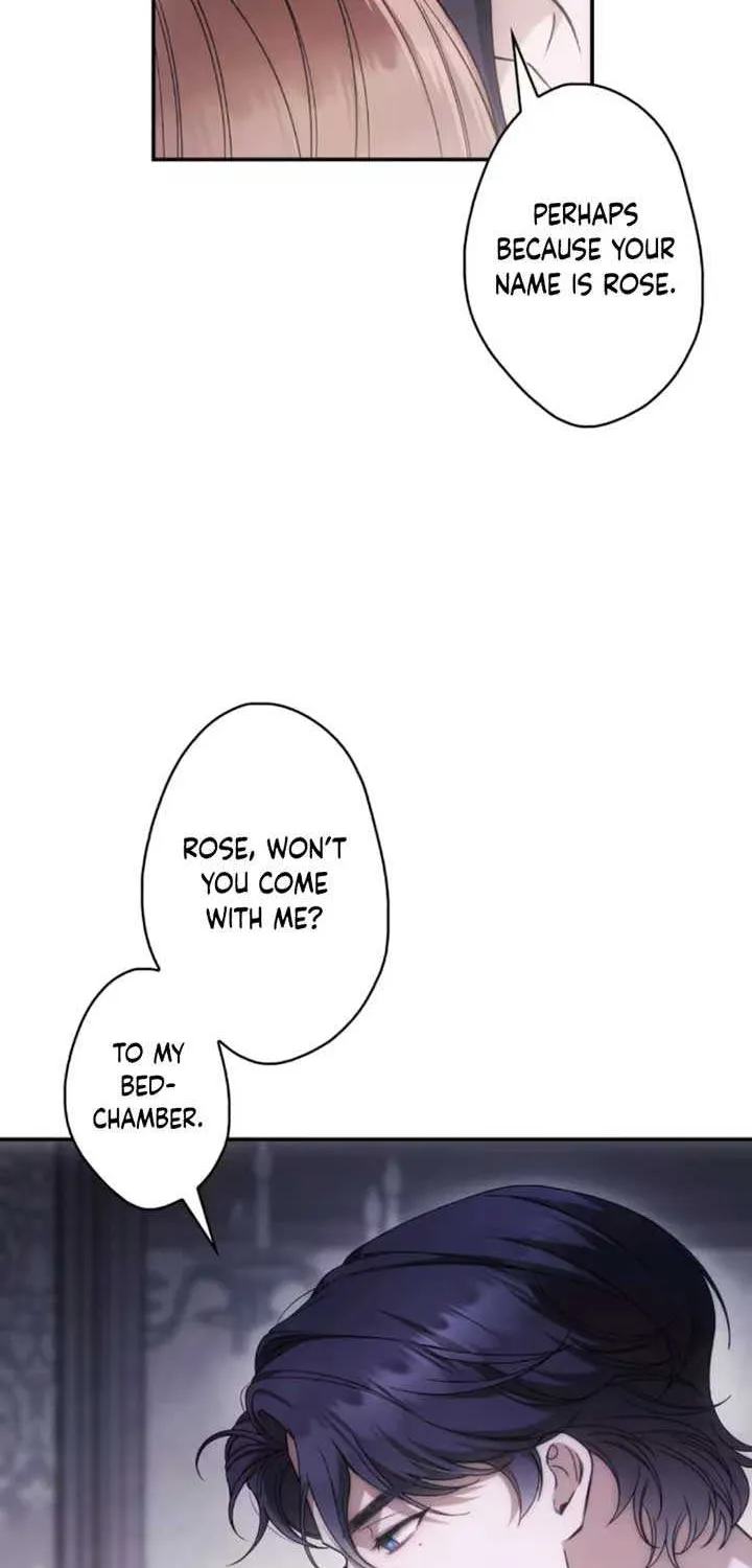 Read The Blind Beast’s Endless Night chapter 13 image 6 on Lezhin