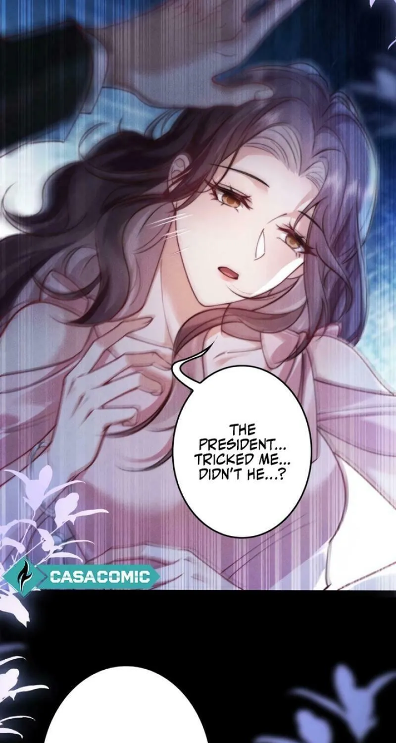The Bossy President Can't Defy Me Chapter 7 page 13 - 