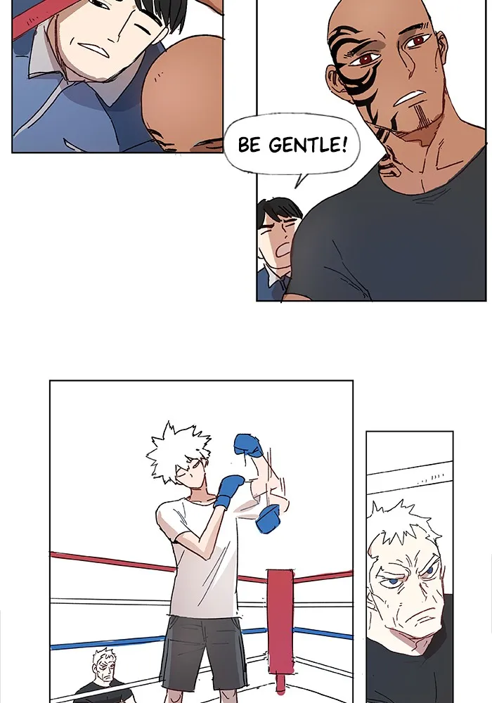 Read The Boxer chapter 1 image 38 on Lezhin