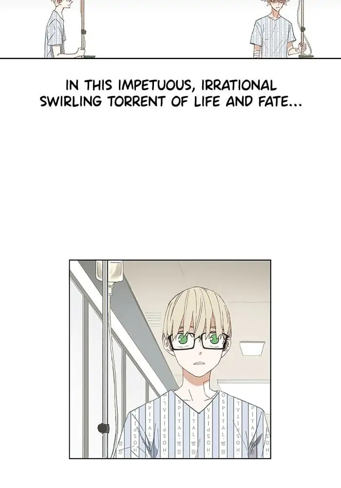 Read The Boxer chapter 10 image 41 on Lezhin