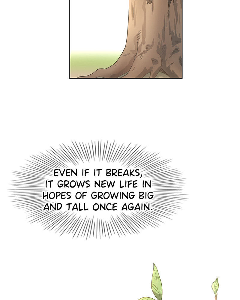 Read The Boxer chapter 33 image 91 on Lezhin