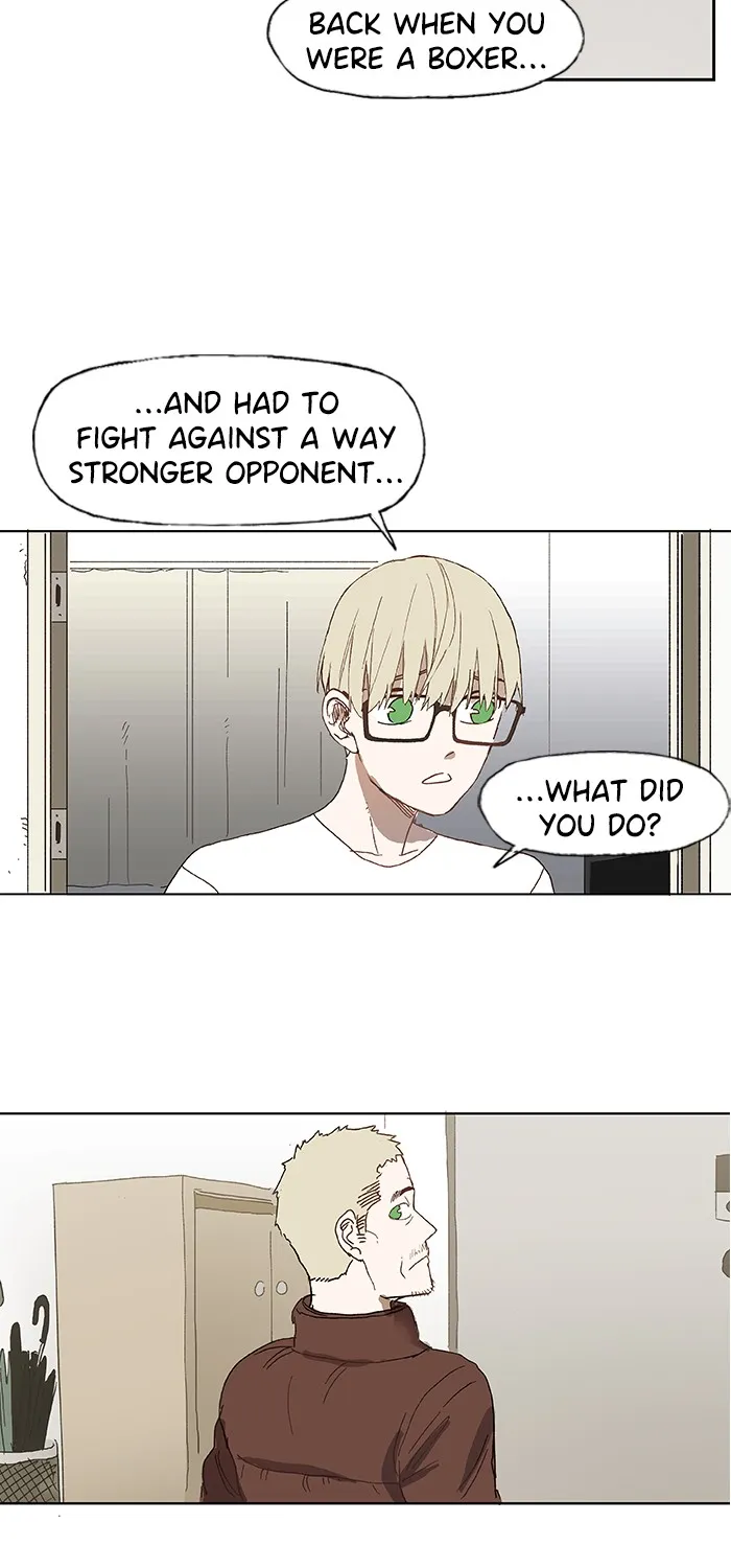 Read The Boxer chapter 4 image 15 on Lezhin