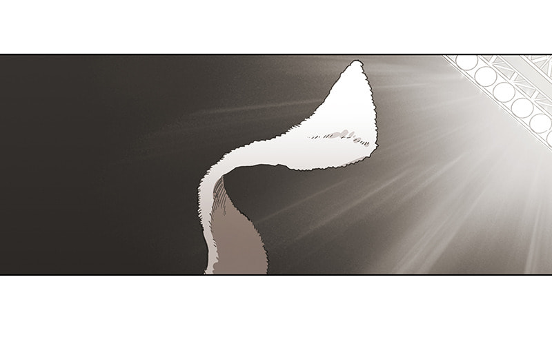 Read The Boxer chapter 50 image 172 on Lezhin