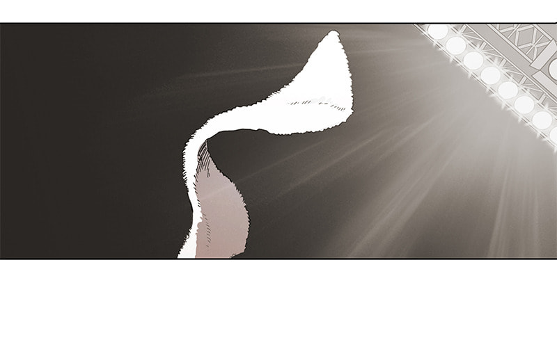 Read The Boxer chapter 51 image 47 on Lezhin