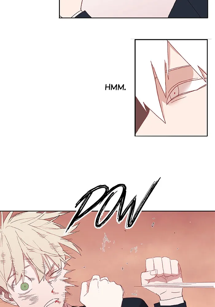 Read The Boxer chapter 6 image 45 on Lezhin