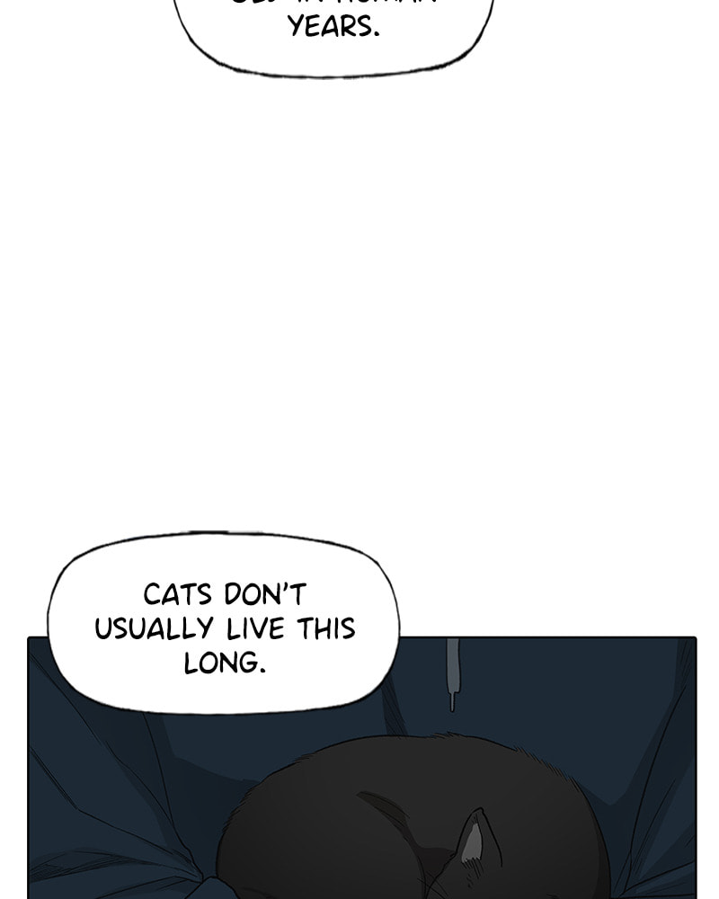 Read The Boxer chapter 80 image 75 on Lezhin