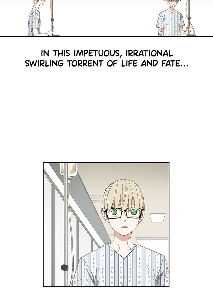Read The Boxer chapter 10 image 41 on Lezhin