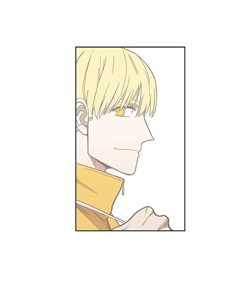 Read The Boxer chapter 102 image 143 on Lezhin