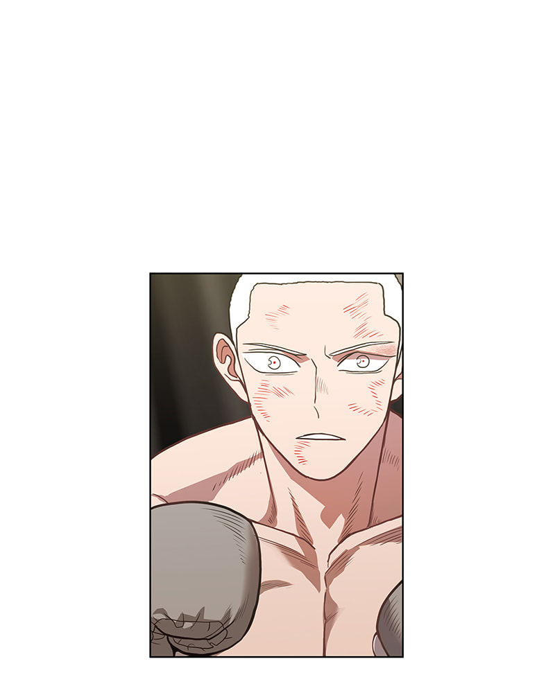 Read The Boxer chapter 123 image 1 on Lezhin
