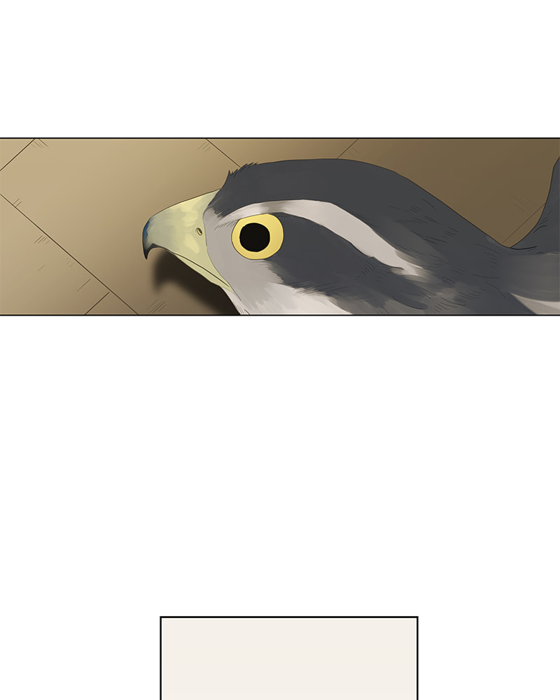 Read The Boxer chapter 38 image 0 on Lezhin