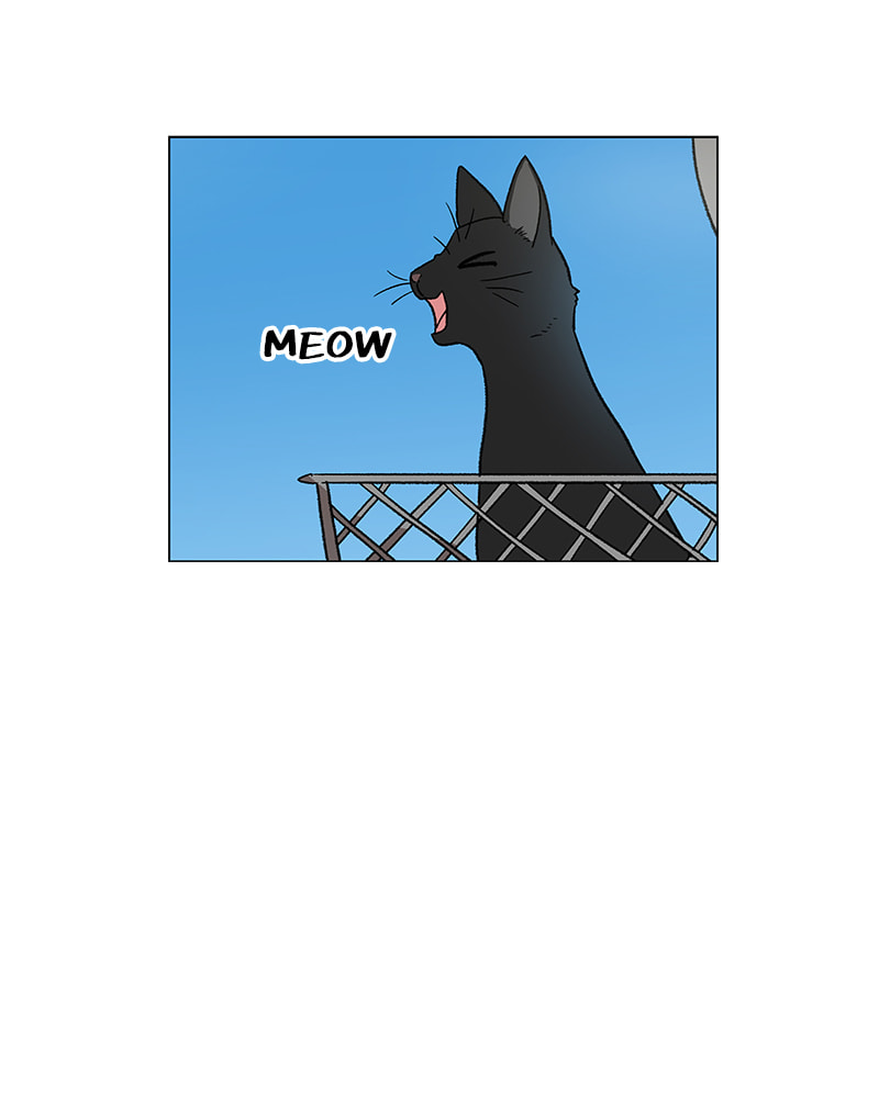 Read The Boxer chapter 55 image 6 on Lezhin