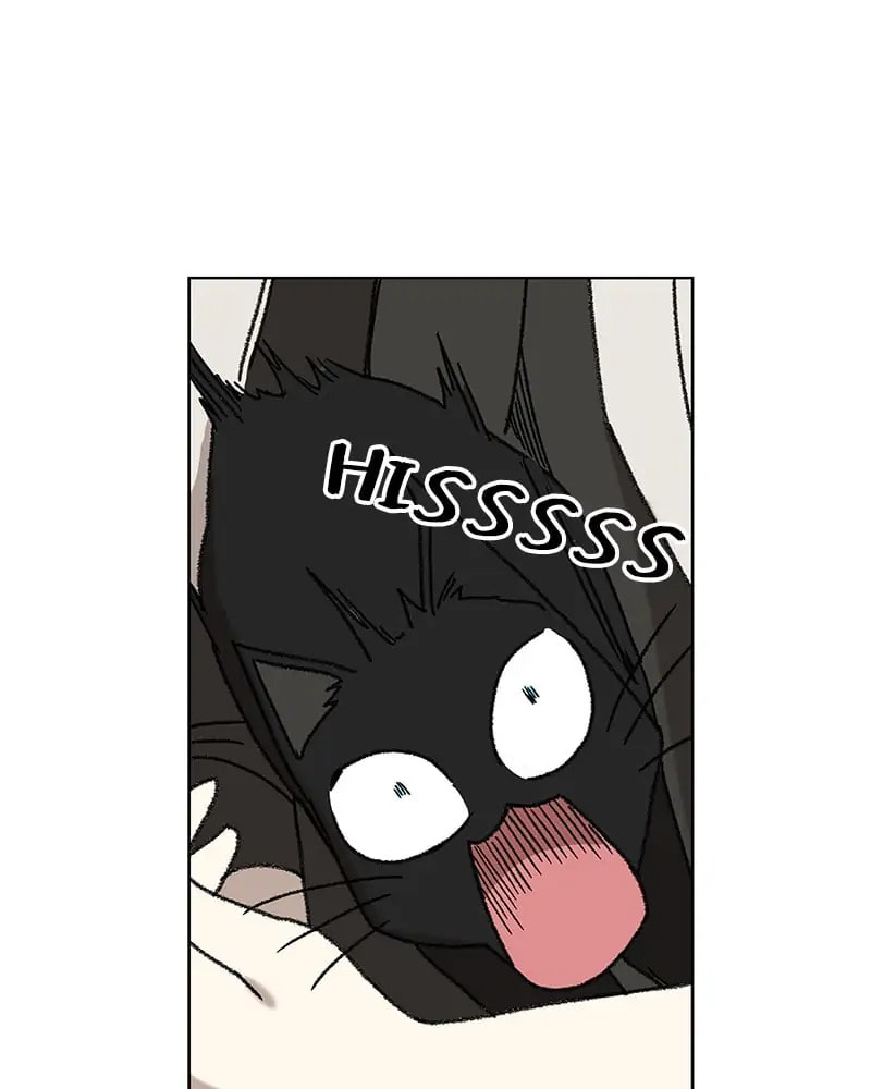 Read The Boxer chapter 56 image 72 on Lezhin