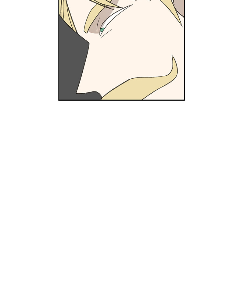 Read The Boxer chapter 70 image 65 on Lezhin