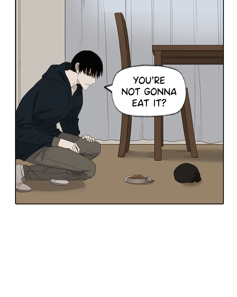 Read The Boxer chapter 79 image 37 on Lezhin