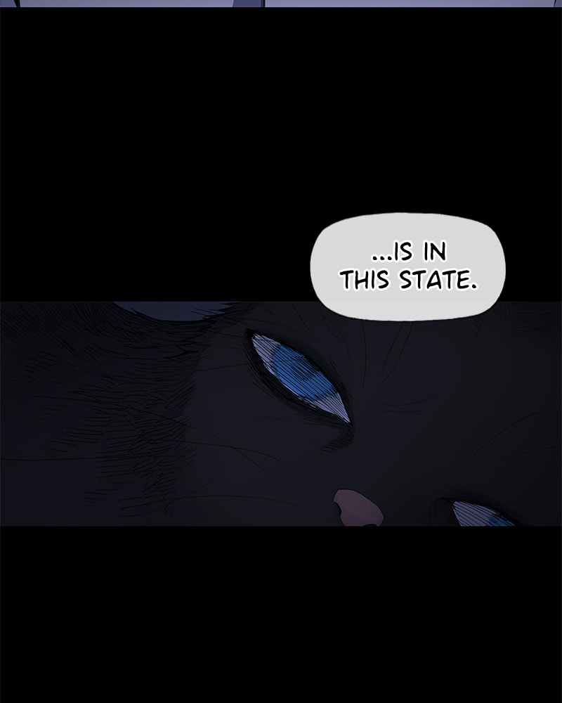 Read The Boxer chapter 94 image 88 on Lezhin