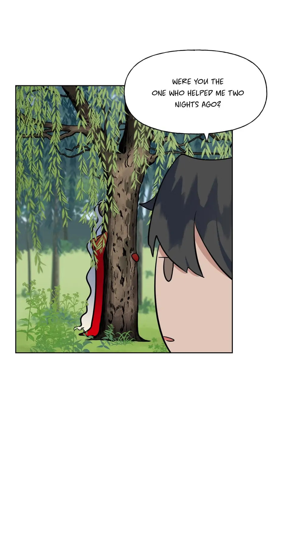 The Boy Who Stole From the Fairy Lake Chapter 36 page 28 - 