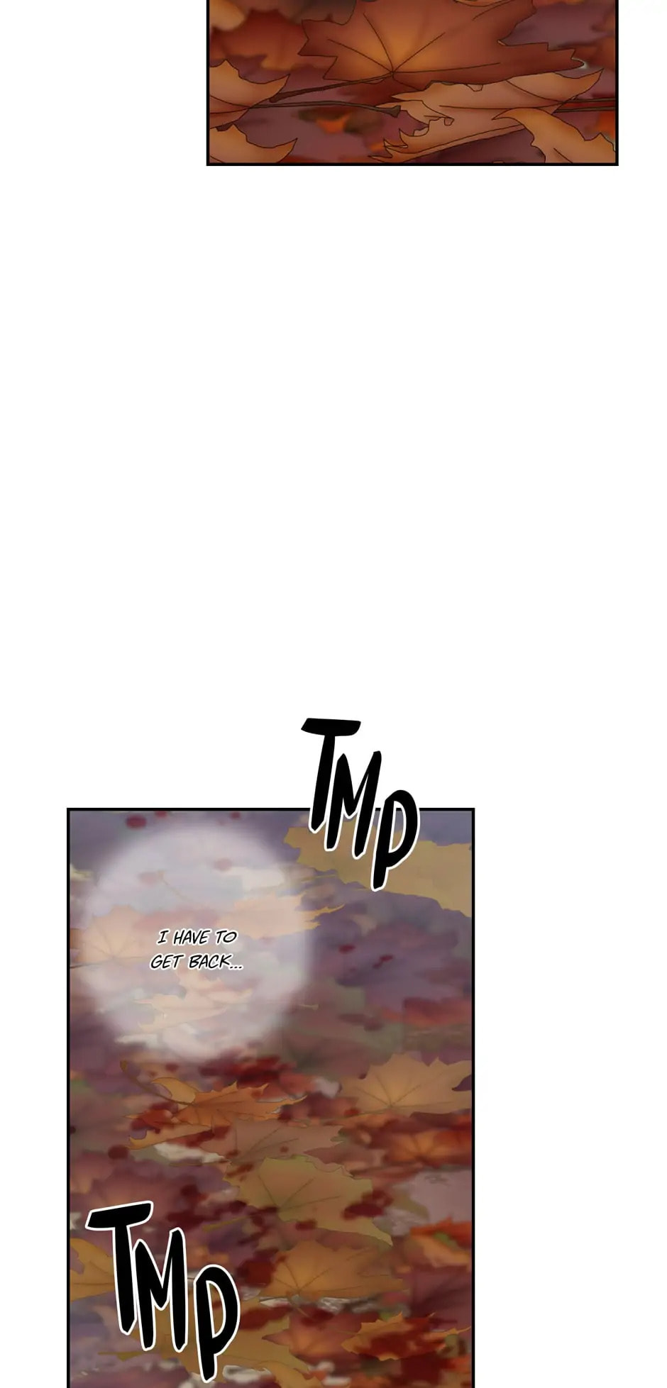 The Boy Who Stole From the Fairy Lake Chapter 54 page 65 - 