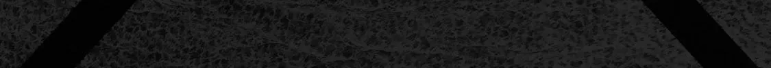The Bride of Barbaroi Chapter 11 page 80 - 