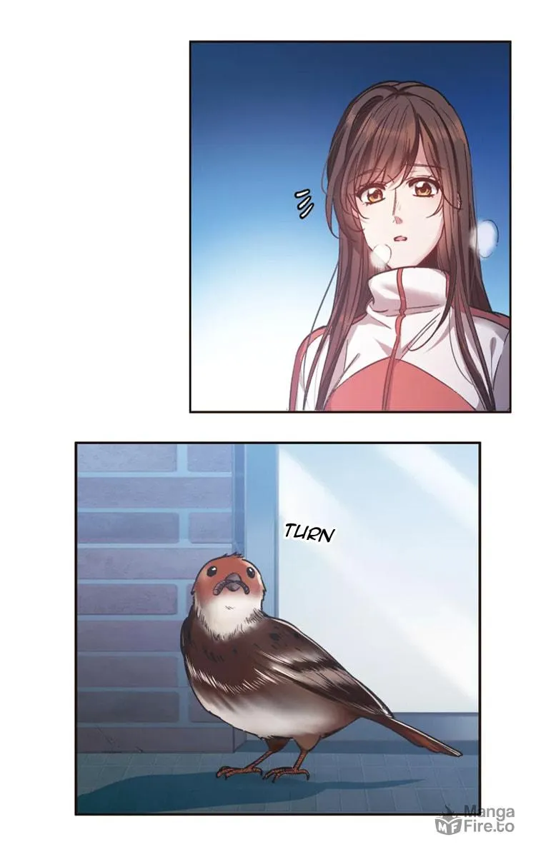 Read The Brightest Star chapter 15.2 image 12 on Lezhin