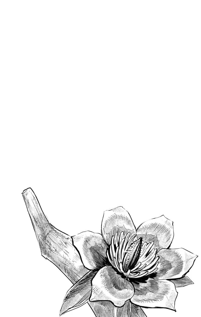 Read The Bugle Call chapter 14.1 image 11 on Lezhin