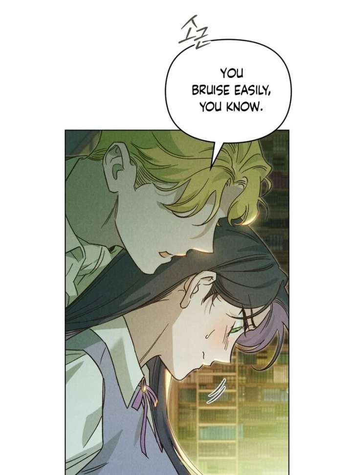 The Butterfly That Swallowed the Mist Chapter 12 page 3 - 