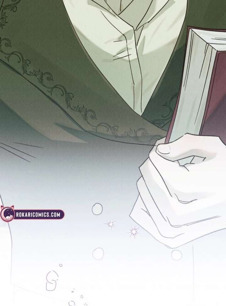 The Butterfly That Swallowed the Mist Chapter 12 page 30 - 