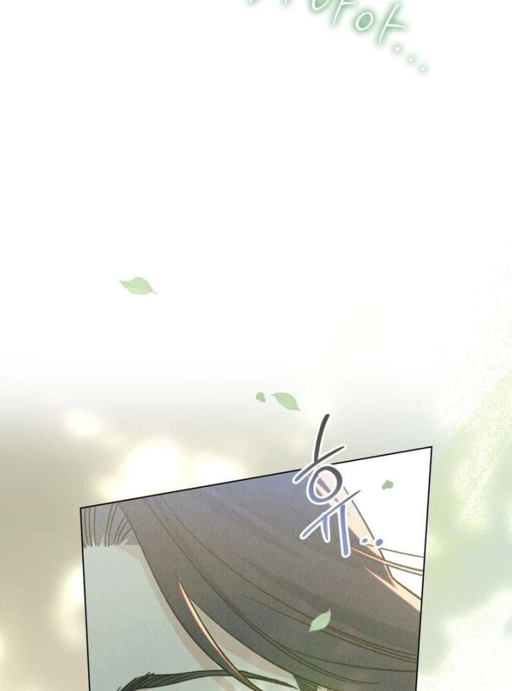 The Butterfly That Swallowed the Mist Chapter 12 page 71 - 