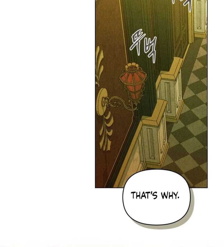 The Butterfly That Swallowed the Mist Chapter 19 page 66 - 