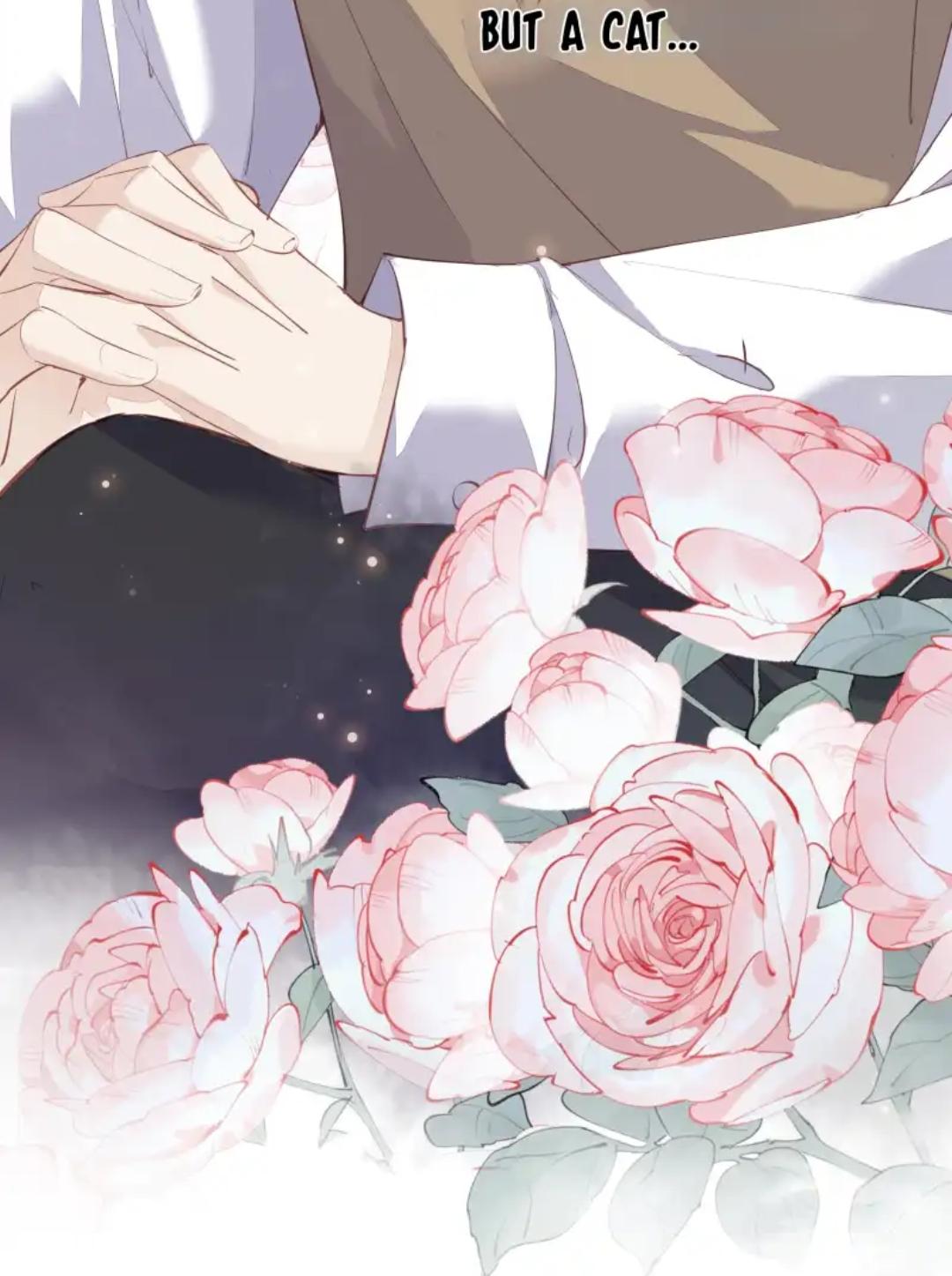 Read The Cat Whisperer chapter 1 image 2 on Lezhin