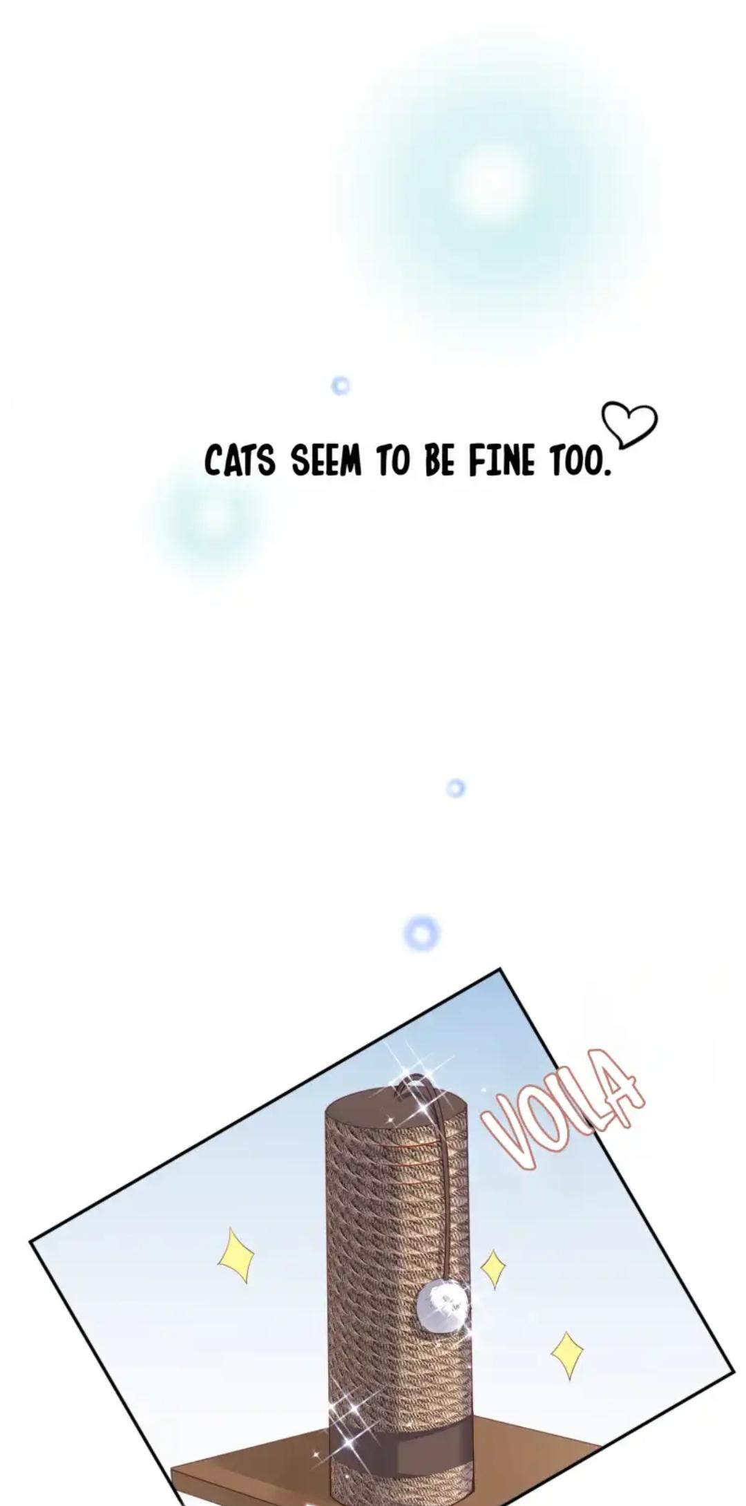 Read The Cat Whisperer chapter 1 image 20 on Lezhin
