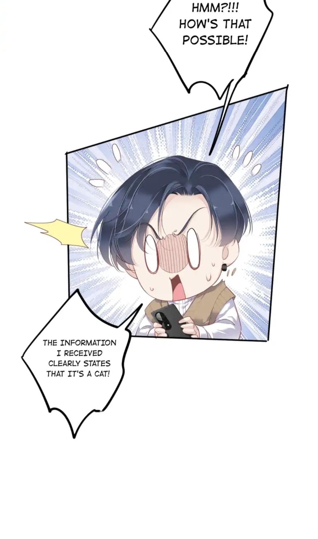 Read The Cat Whisperer chapter 1 image 26 on Lezhin