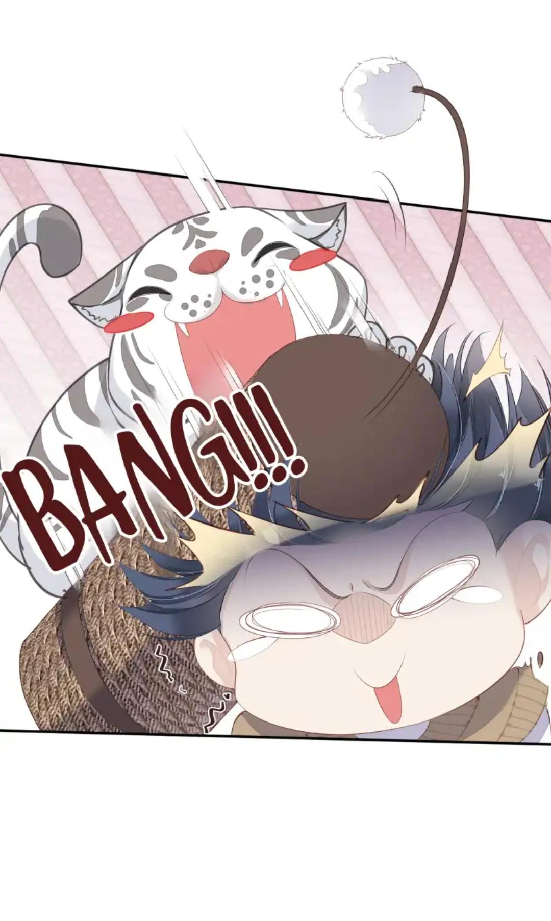 Read The Cat Whisperer chapter 1 image 34 on Lezhin