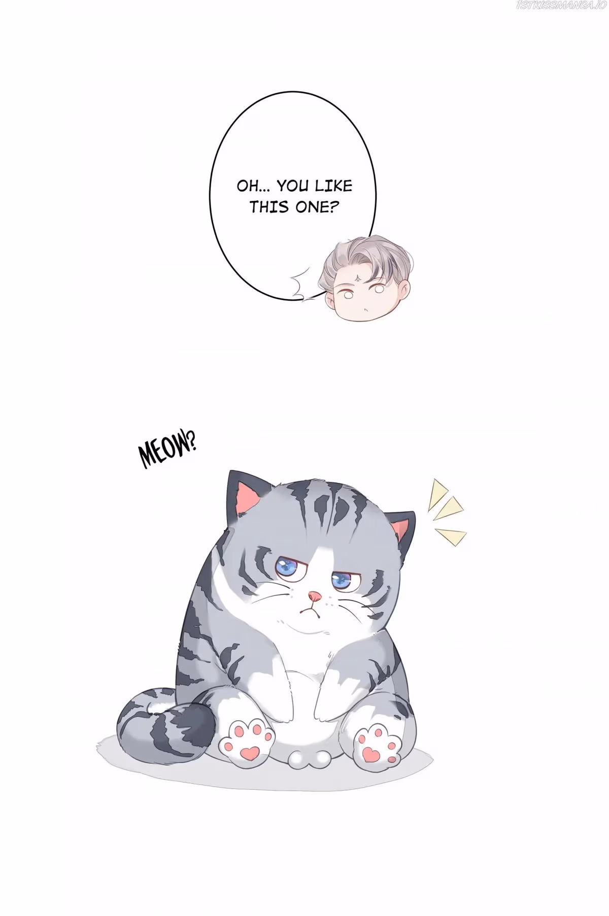 Read The Cat Whisperer chapter 13 image 33 on Lezhin