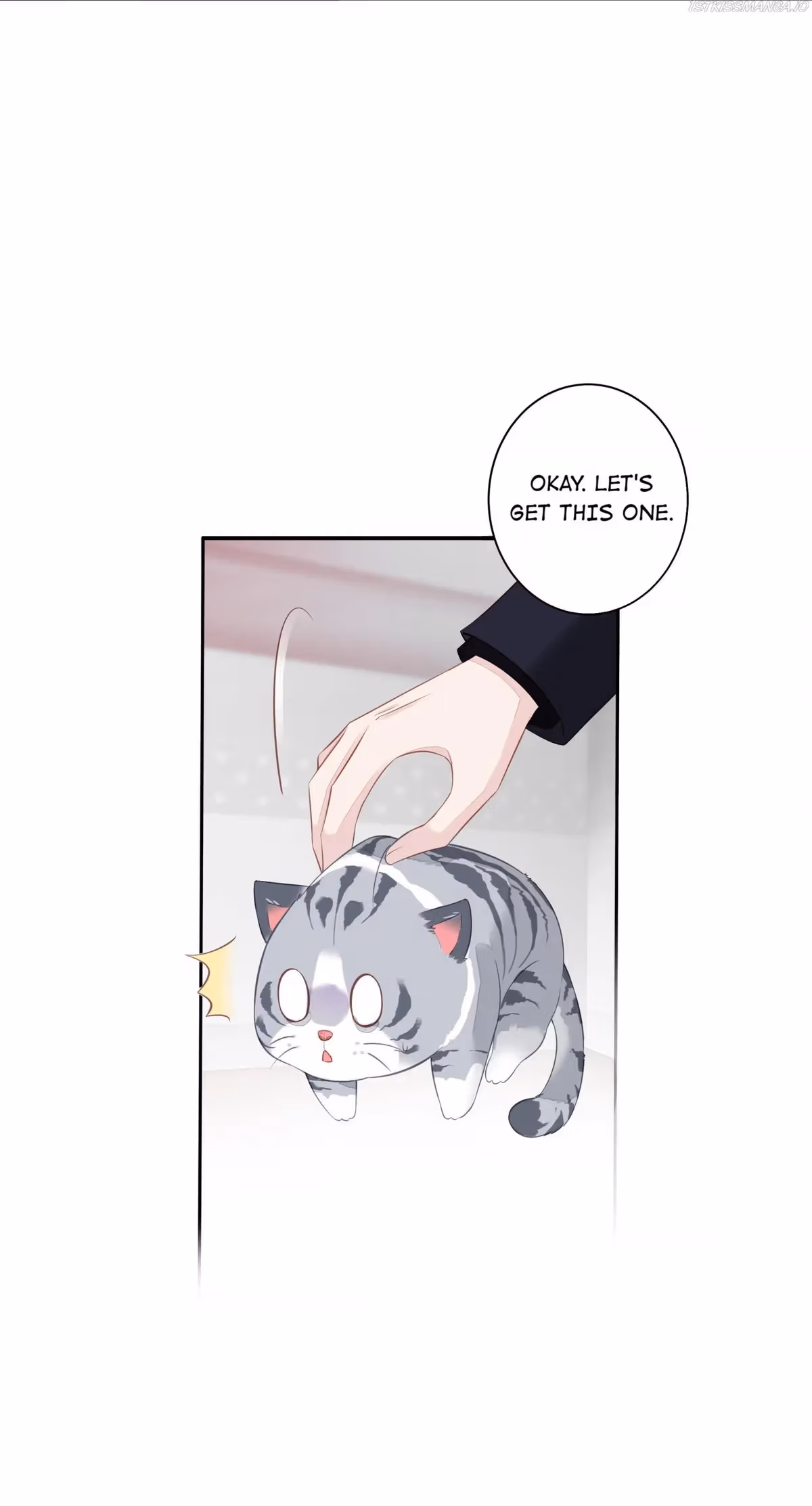 Read The Cat Whisperer chapter 13 image 35 on Lezhin