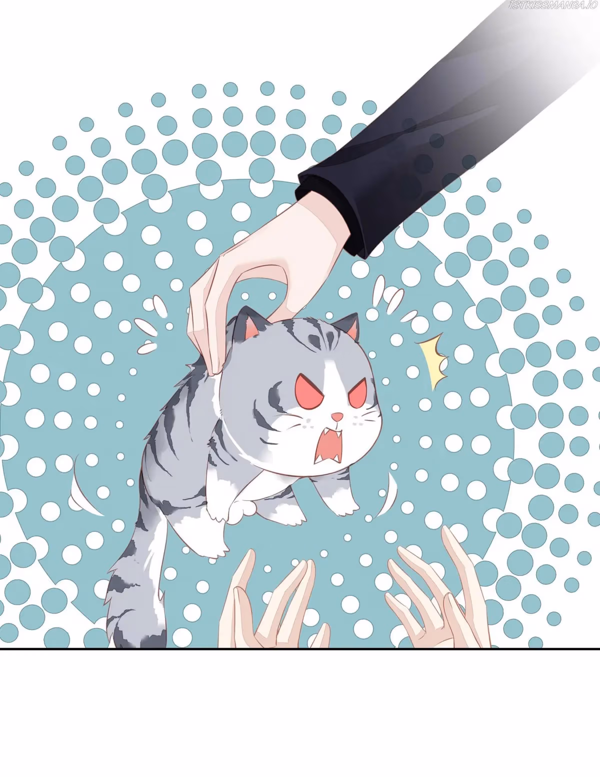 Read The Cat Whisperer chapter 13 image 36 on Lezhin