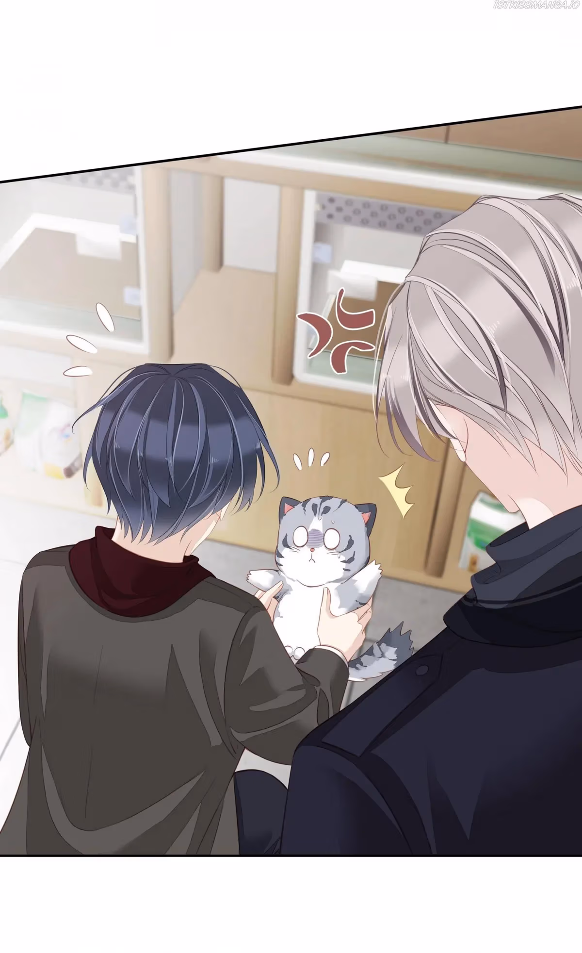 Read The Cat Whisperer chapter 13 image 38 on Lezhin