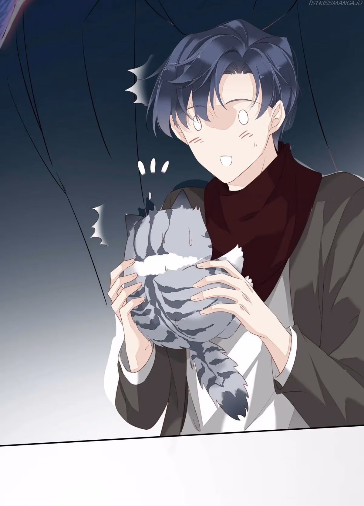 Read The Cat Whisperer chapter 13 image 40 on Lezhin