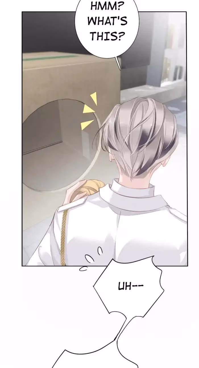 Read The Cat Whisperer chapter 2 image 12 on Lezhin