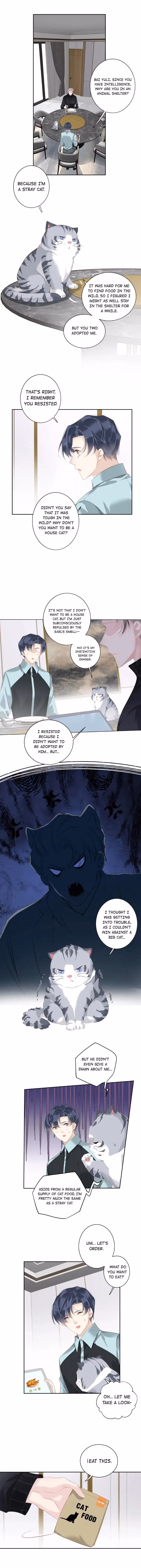 Read The Cat Whisperer chapter 23 image 2 on Lezhin